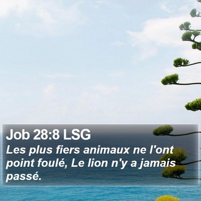 Job 28:8 LSG Bible Verse Image