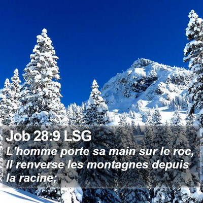 Job 28:9 LSG Bible Verse Image