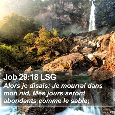 Job 29:18 LSG Bible Verse Image