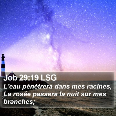 Job 29:19 LSG Bible Verse Image