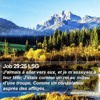 Job 29:25 LSG Bible Verse Image
