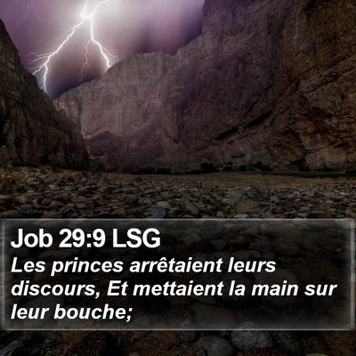 Job 29:9 LSG Bible Verse Image