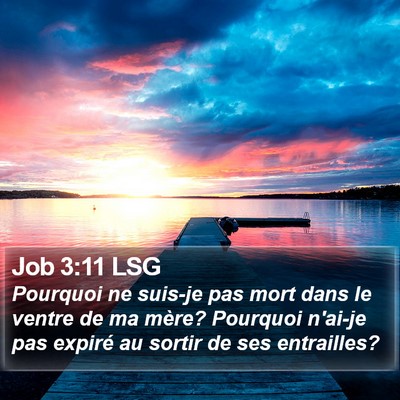 Job 3:11 LSG Bible Verse Image
