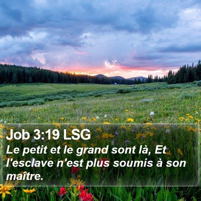 Job 3:19 LSG Bible Verse Image