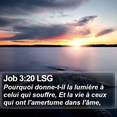 Job 3:20 LSG Bible Verse Image
