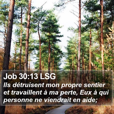 Job 30:13 LSG Bible Verse Image