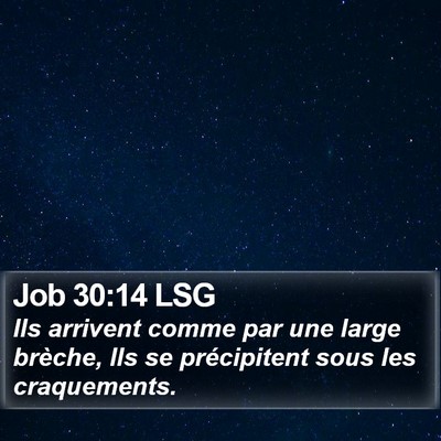 Job 30:14 LSG Bible Verse Image