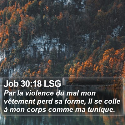 Job 30:18 LSG Bible Verse Image
