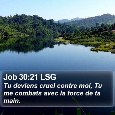 Job 30:21 LSG Bible Verse Image