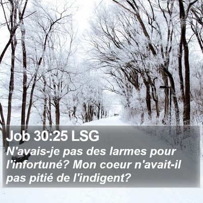 Job 30:25 LSG Bible Verse Image