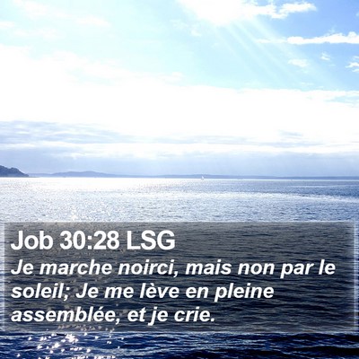 Job 30:28 LSG Bible Verse Image