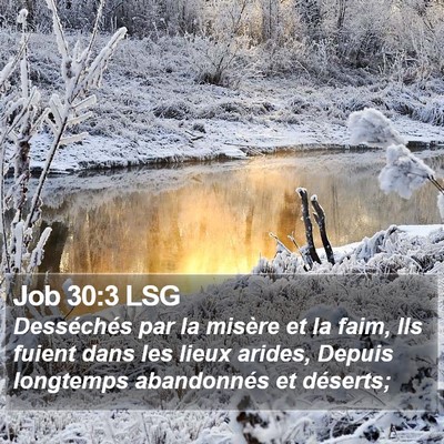 Job 30:3 LSG Bible Verse Image