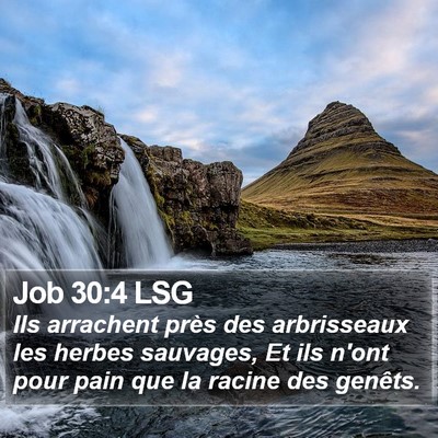 Job 30:4 LSG Bible Verse Image