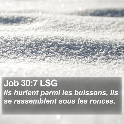 Job 30:7 LSG Bible Verse Image