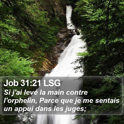 Job 31:21 LSG Bible Verse Image