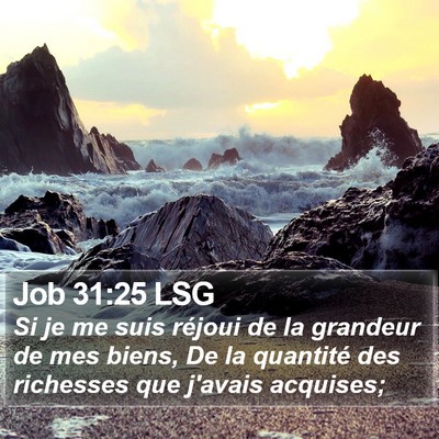 Job 31:25 LSG Bible Verse Image