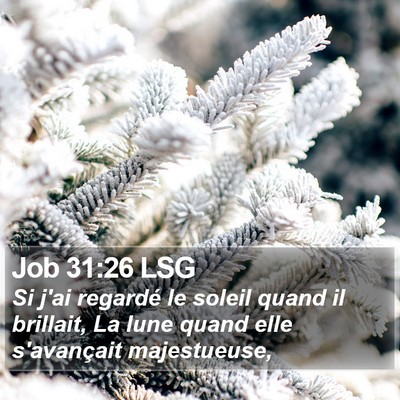 Job 31:26 LSG Bible Verse Image