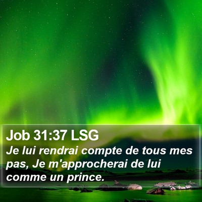Job 31:37 LSG Bible Verse Image