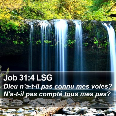 Job 31:4 LSG Bible Verse Image