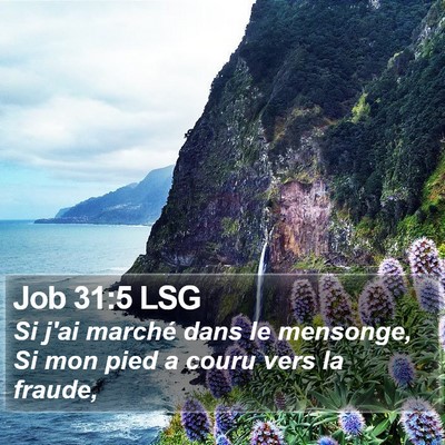 Job 31:5 LSG Bible Verse Image