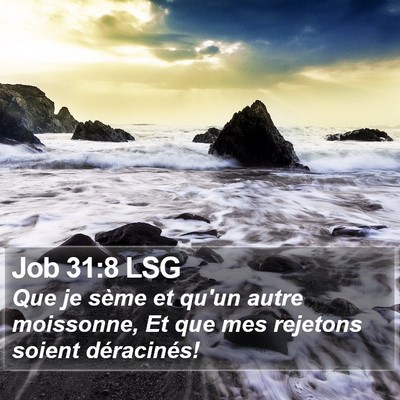 Job 31:8 LSG Bible Verse Image
