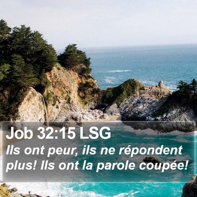 Job 32:15 LSG Bible Verse Image