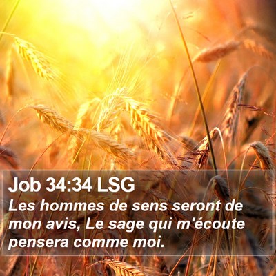 Job 34:34 LSG Bible Verse Image