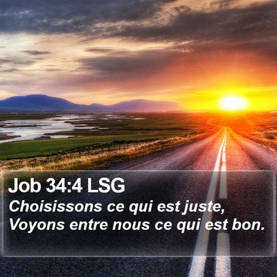Job 34:4 LSG Bible Verse Image