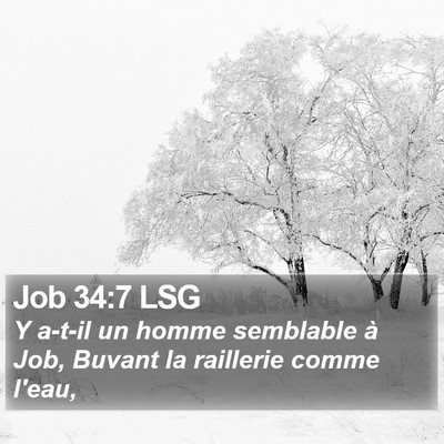 Job 34:7 LSG Bible Verse Image