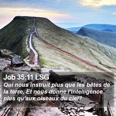 Job 35:11 LSG Bible Verse Image