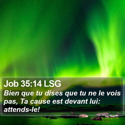 Job 35:14 LSG Bible Verse Image