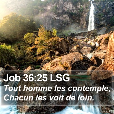 Job 36:25 LSG Bible Verse Image