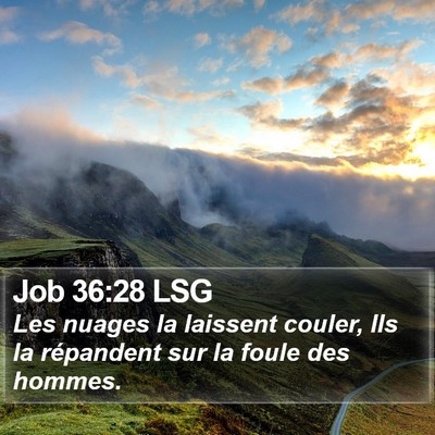 Job 36:28 LSG Bible Verse Image