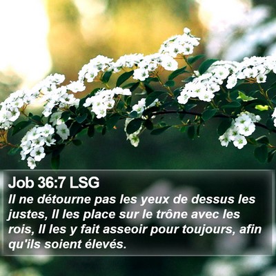 Job 36:7 LSG Bible Verse Image