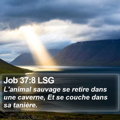 Job 37:8 LSG Bible Verse Image
