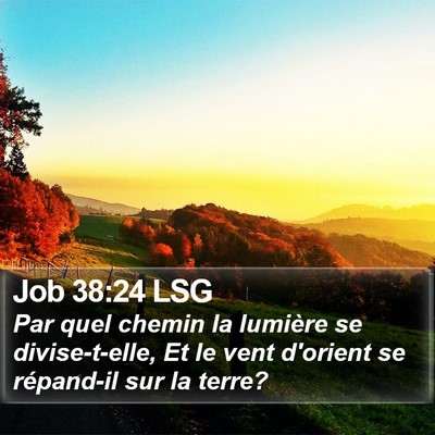 Job 38:24 LSG Bible Verse Image
