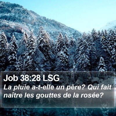 Job 38:28 LSG Bible Verse Image