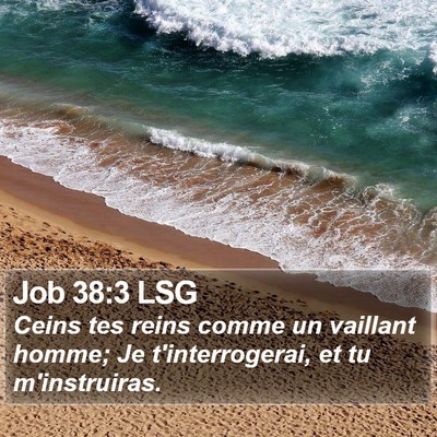 Job 38:3 LSG Bible Verse Image
