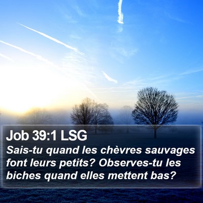 Job 39:1 LSG Bible Verse Image