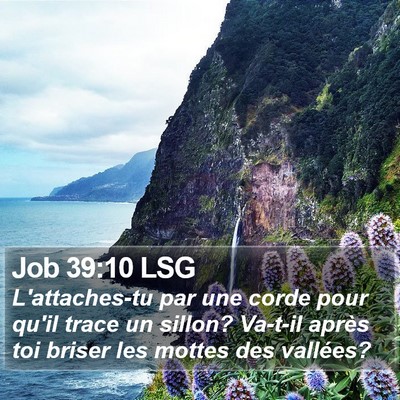 Job 39:10 LSG Bible Verse Image