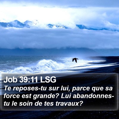 Job 39:11 LSG Bible Verse Image
