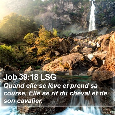 Job 39:18 LSG Bible Verse Image