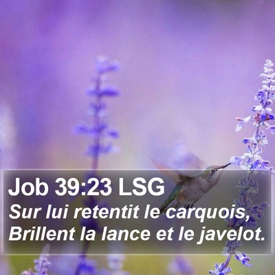 Job 39:23 LSG Bible Verse Image