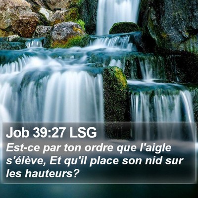 Job 39:27 LSG Bible Verse Image