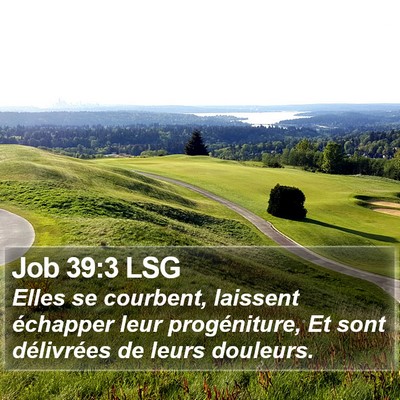 Job 39:3 LSG Bible Verse Image