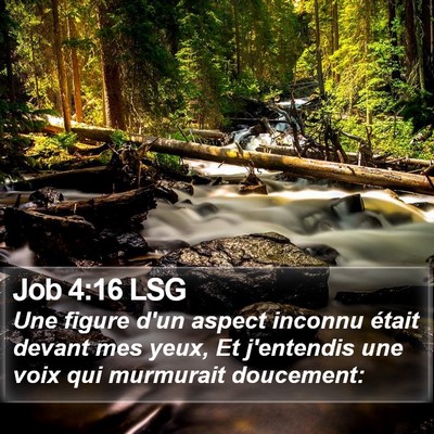 Job 4:16 LSG Bible Verse Image