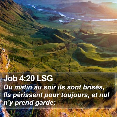 Job 4:20 LSG Bible Verse Image