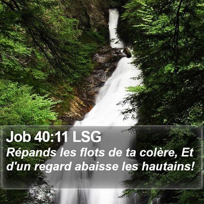 Job 40:11 LSG Bible Verse Image