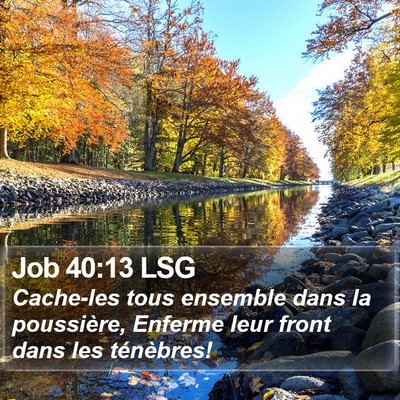 Job 40:13 LSG Bible Verse Image