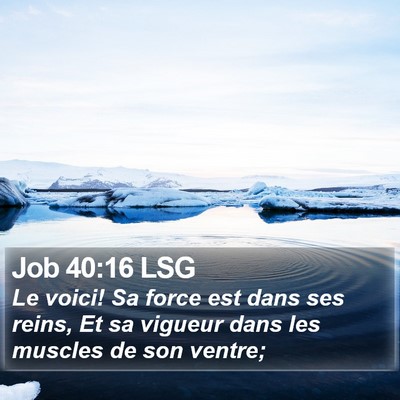 Job 40:16 LSG Bible Verse Image